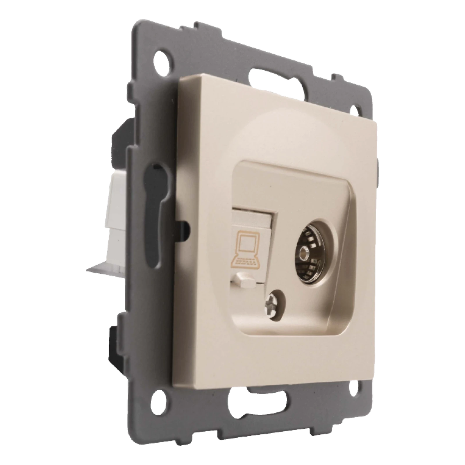 Розетка RJ45 (cat 5e) + TV золото
